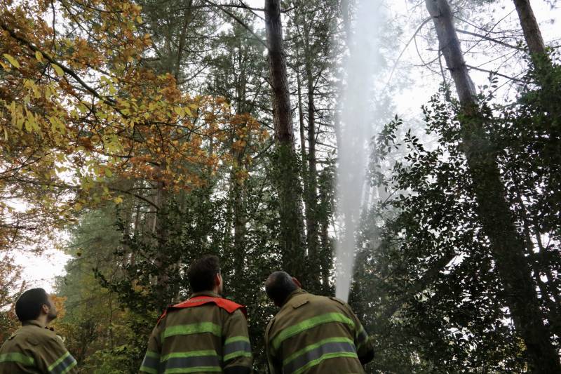 Kat Joep (4) geeft niet op