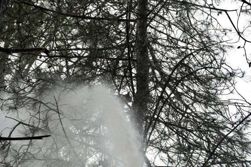 Kat Joep (4) geeft niet op