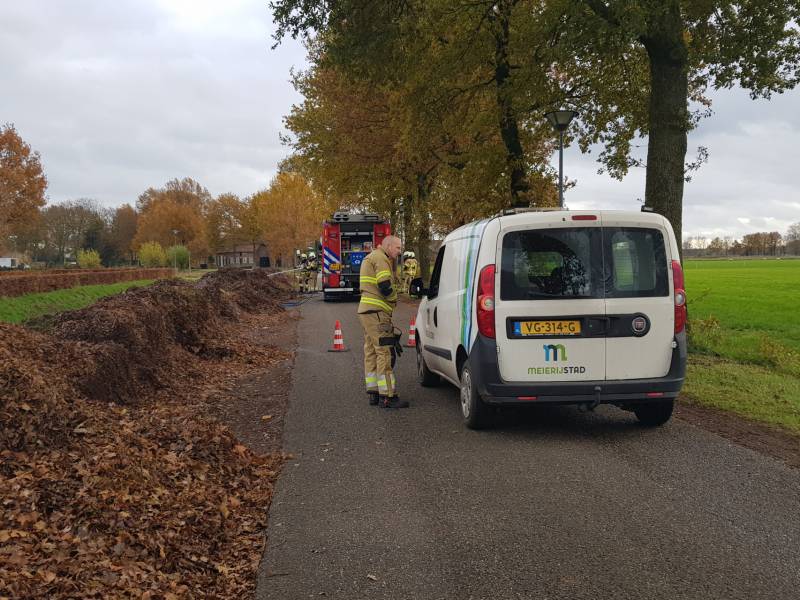 Brand in herfstbladeren door broei