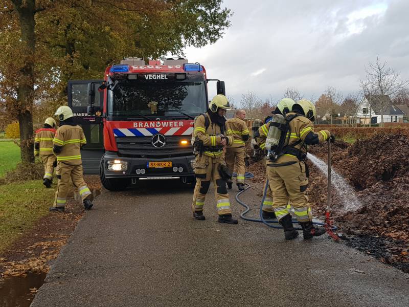 Brand in herfstbladeren door broei