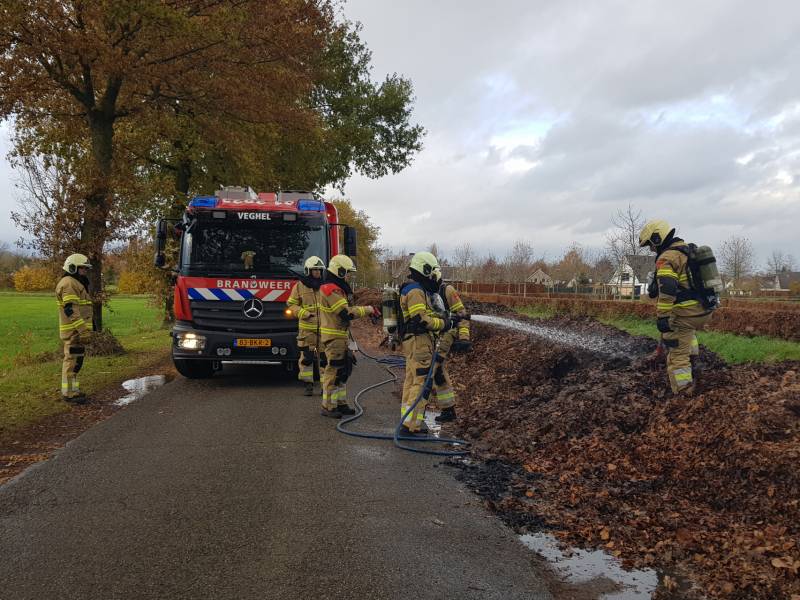 Brand in herfstbladeren door broei