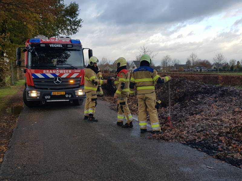 Brand in herfstbladeren door broei
