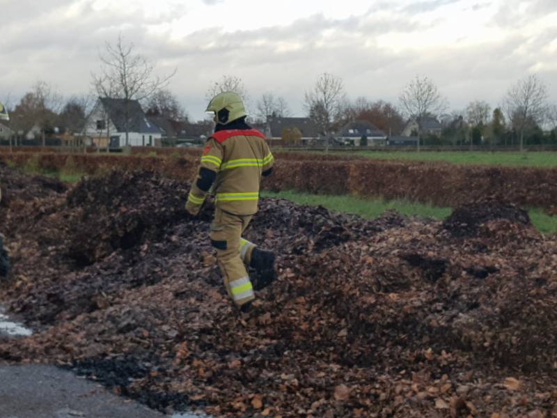 Brand in herfstbladeren door broei