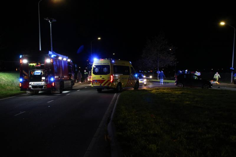 Automobilist rijdt man en kindje dood