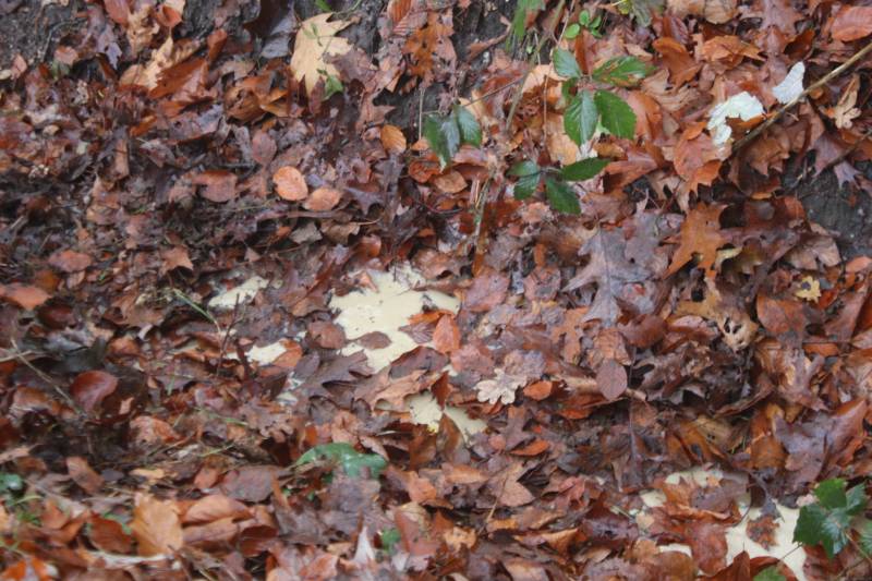 Brandweer onderzoekt vreemde stof