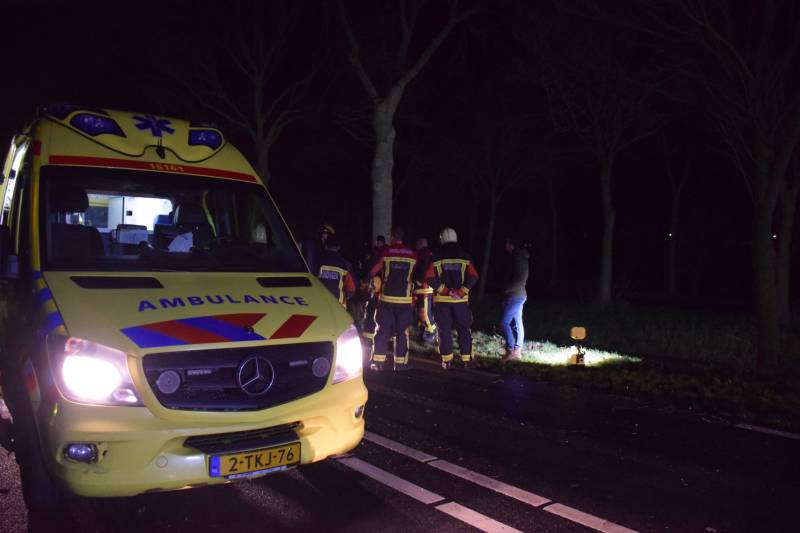 Flinke schade na aanrijding tegen boom