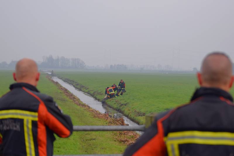 Brandweer redt schaap uit sloot