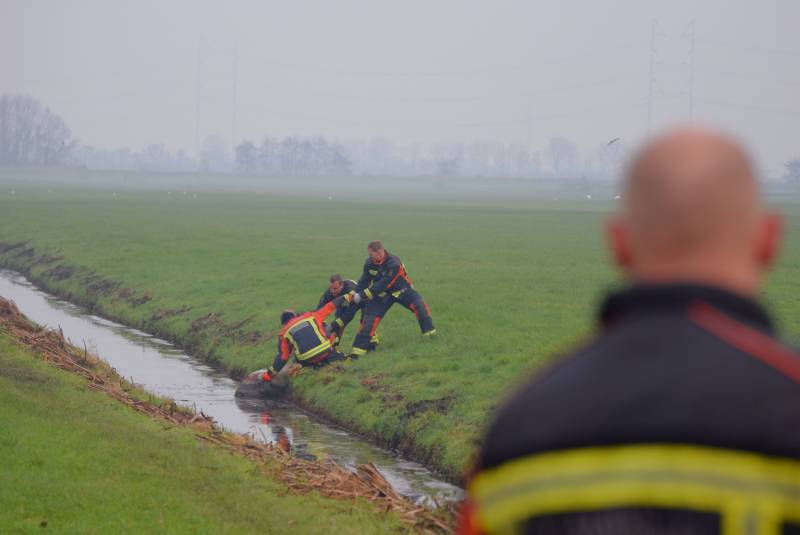 Brandweer redt schaap uit sloot