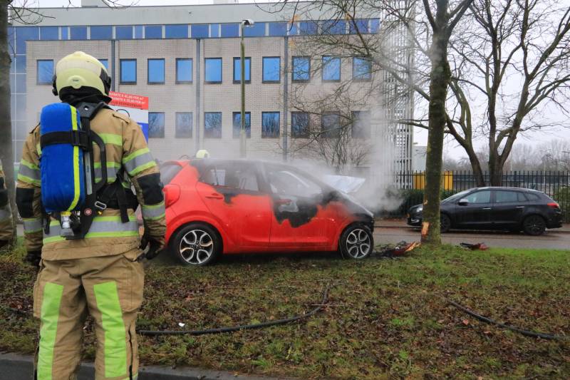Auto botst op boom en vliegt in brand