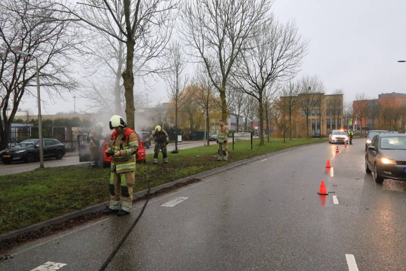 Auto botst op boom en vliegt in brand
