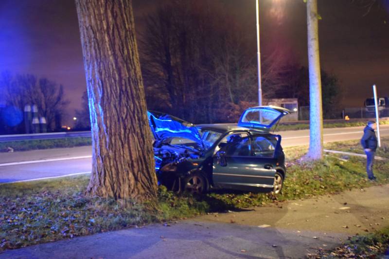 Inzittende auto gewond na botsing met boom