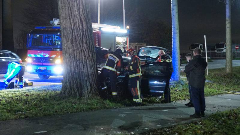 Inzittende auto gewond na botsing met boom