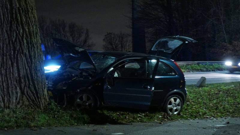 Inzittende auto gewond na botsing met boom