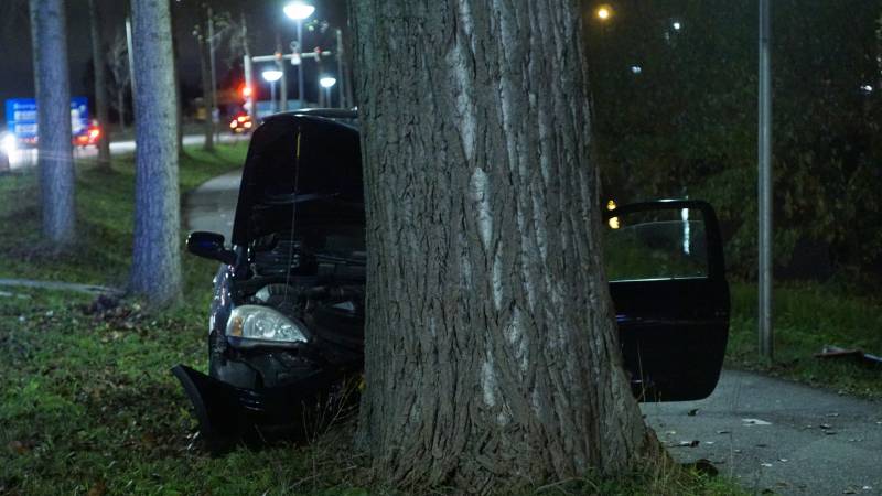 Inzittende auto gewond na botsing met boom