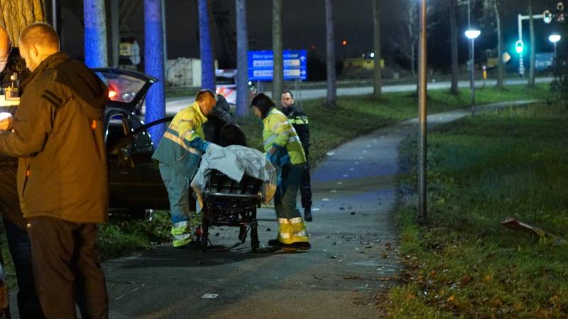 Inzittende auto gewond na botsing met boom