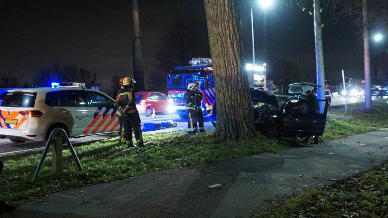 Inzittende auto gewond na botsing met boom