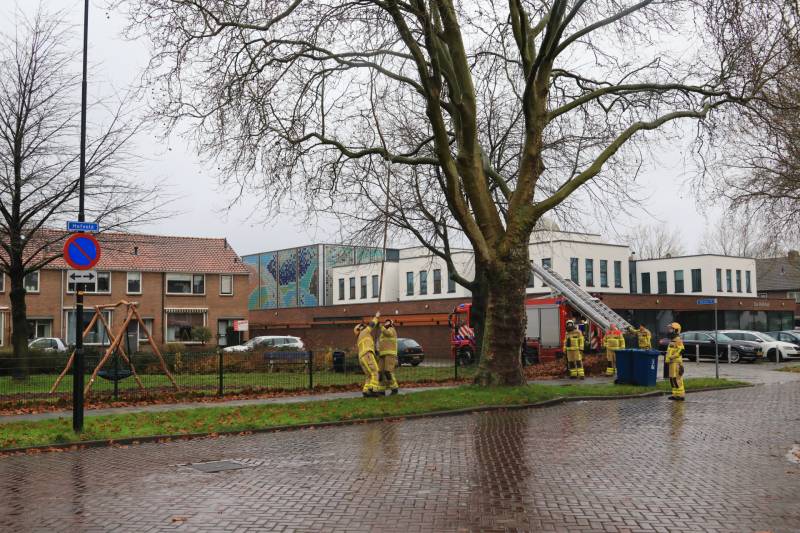 Brandweer haalt gevaarlijk loshangende takken uit boom