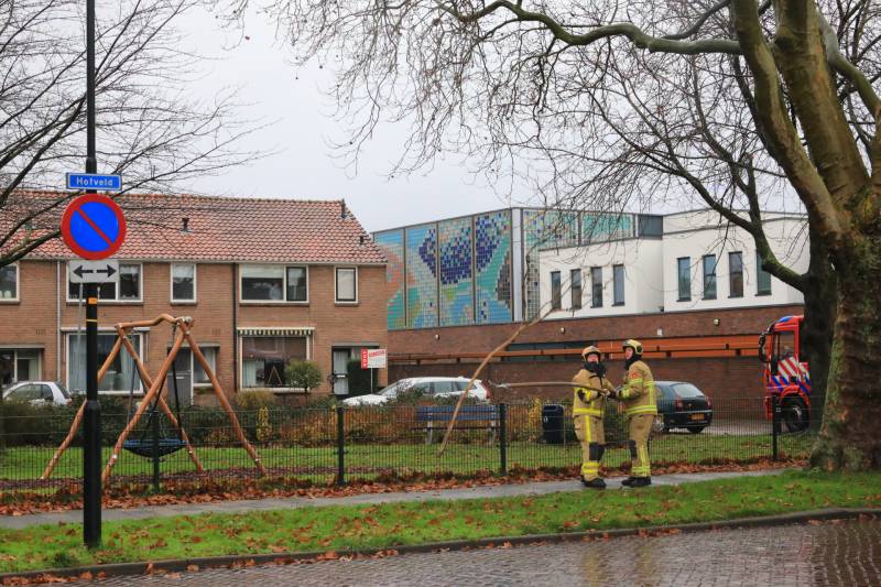 Brandweer haalt gevaarlijk loshangende takken uit boom