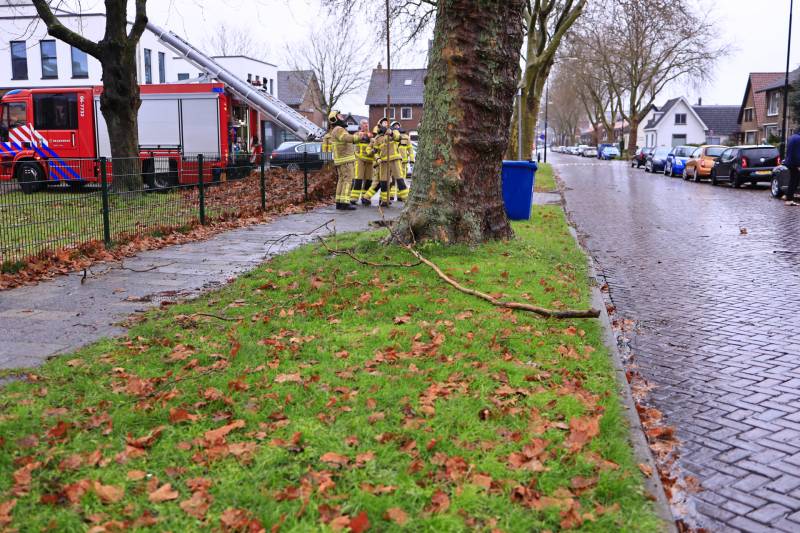 Brandweer haalt gevaarlijk loshangende takken uit boom