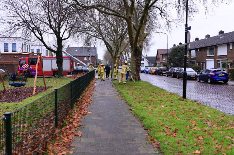 Brandweer haalt gevaarlijk loshangende takken uit boom