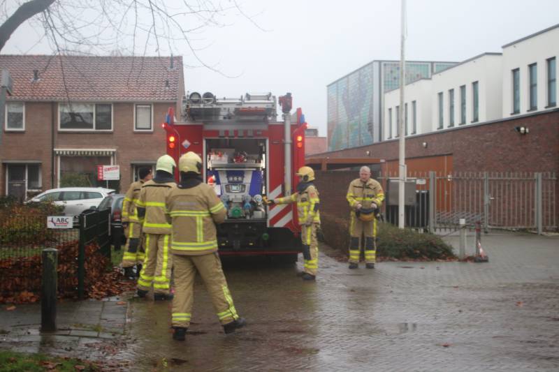 Brandweer haalt gevaarlijk loshangende takken uit boom