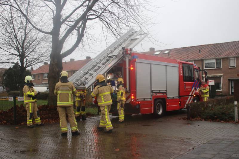Brandweer haalt gevaarlijk loshangende takken uit boom