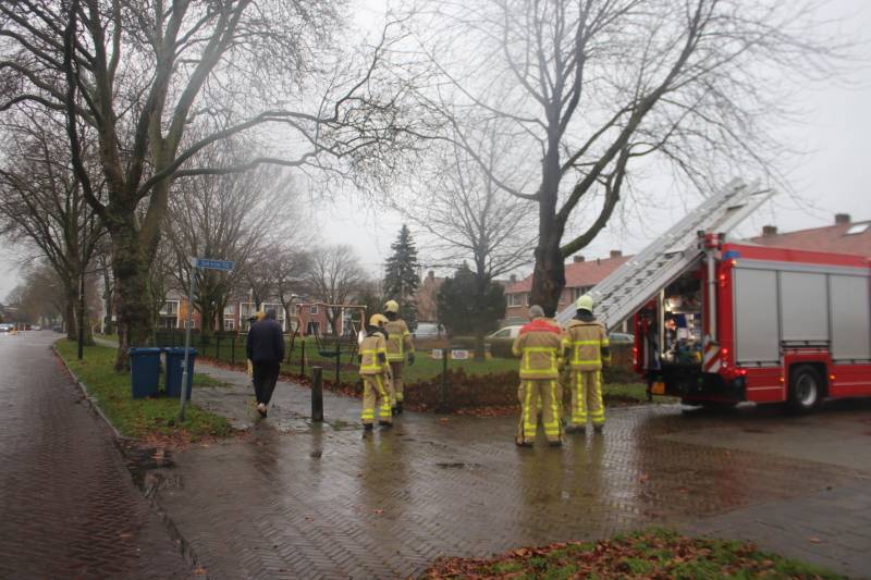 Brandweer haalt gevaarlijk loshangende takken uit boom