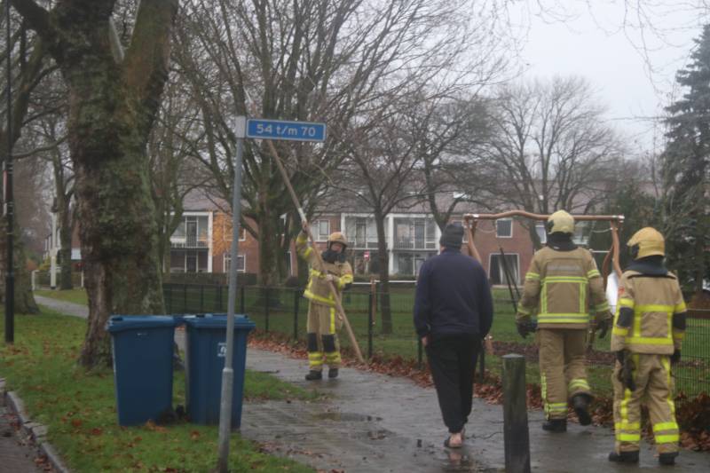 Brandweer haalt gevaarlijk loshangende takken uit boom