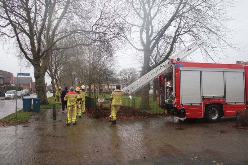 Brandweer haalt gevaarlijk loshangende takken uit boom