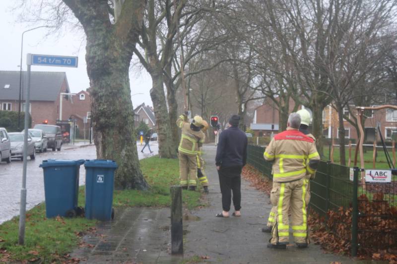 Brandweer haalt gevaarlijk loshangende takken uit boom