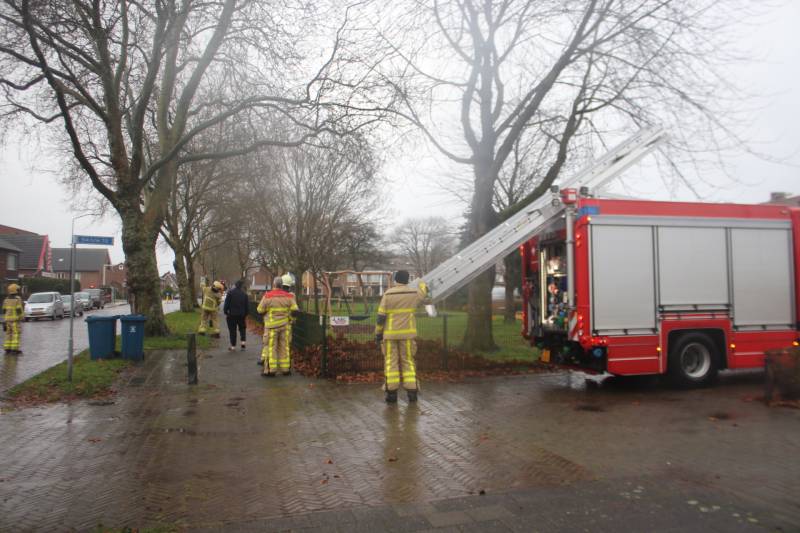 Brandweer haalt gevaarlijk loshangende takken uit boom