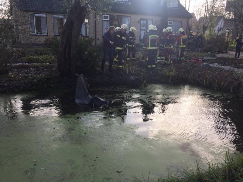 Twee personen en paard te water geraakt