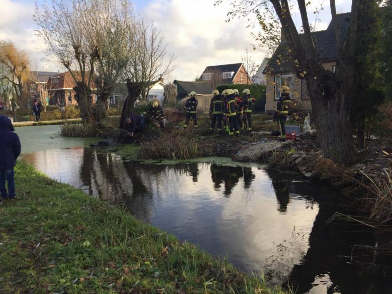 Twee personen en paard te water geraakt