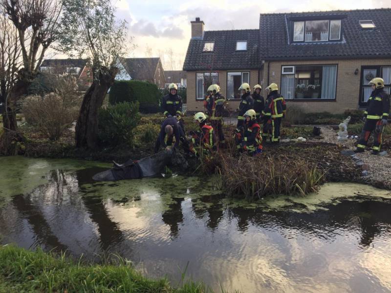 Twee personen en paard te water geraakt