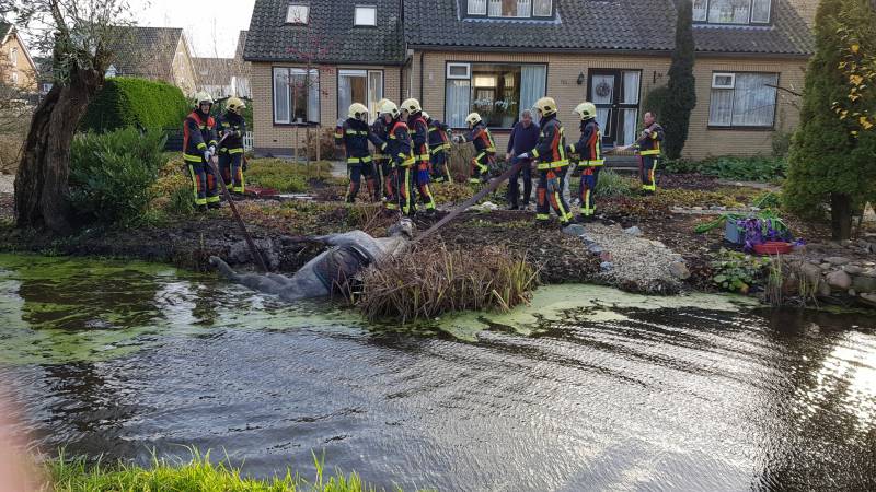 Twee personen en paard te water geraakt