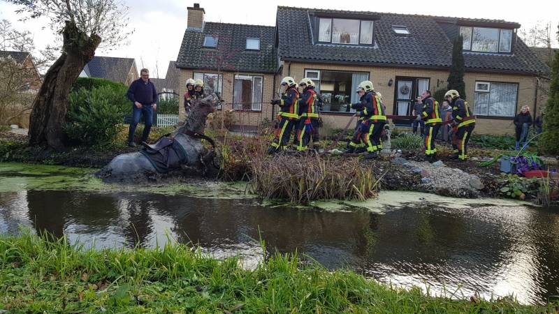 Twee personen en paard te water geraakt
