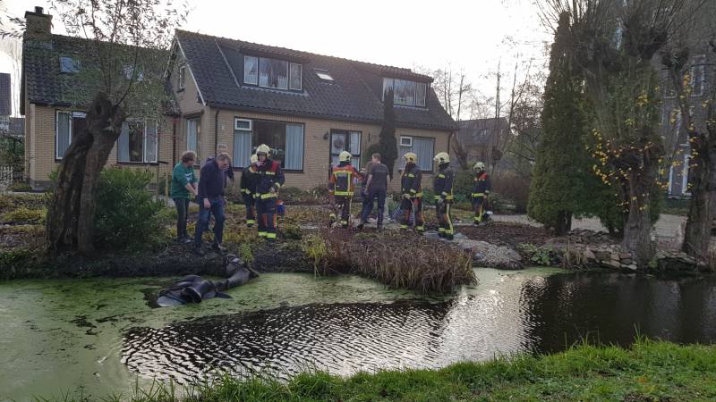 Twee personen en paard te water geraakt