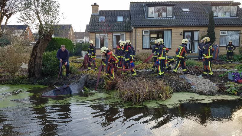 Twee personen en paard te water geraakt