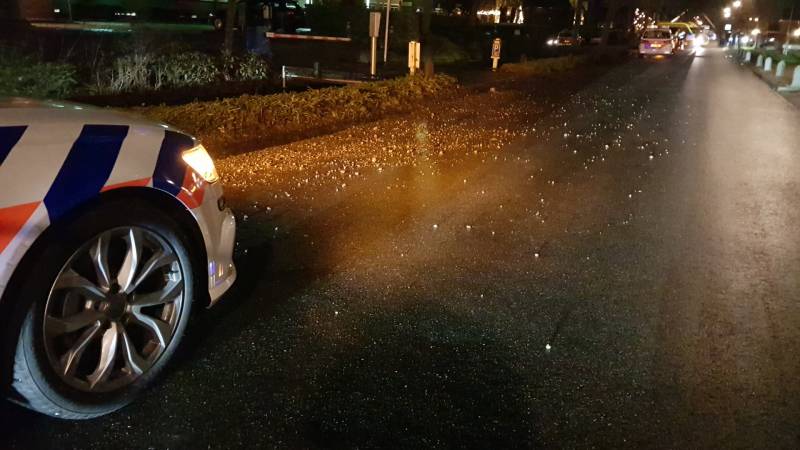 Bestuurder zwaargewond na eenzijdige aanrijding tegen boom