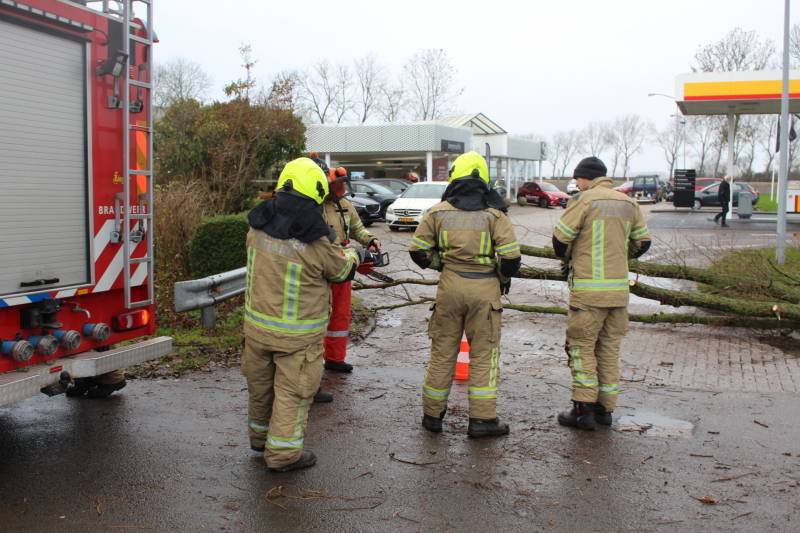 Uitgang Shell-tankstation geblokkeerd door omgewaaide boom