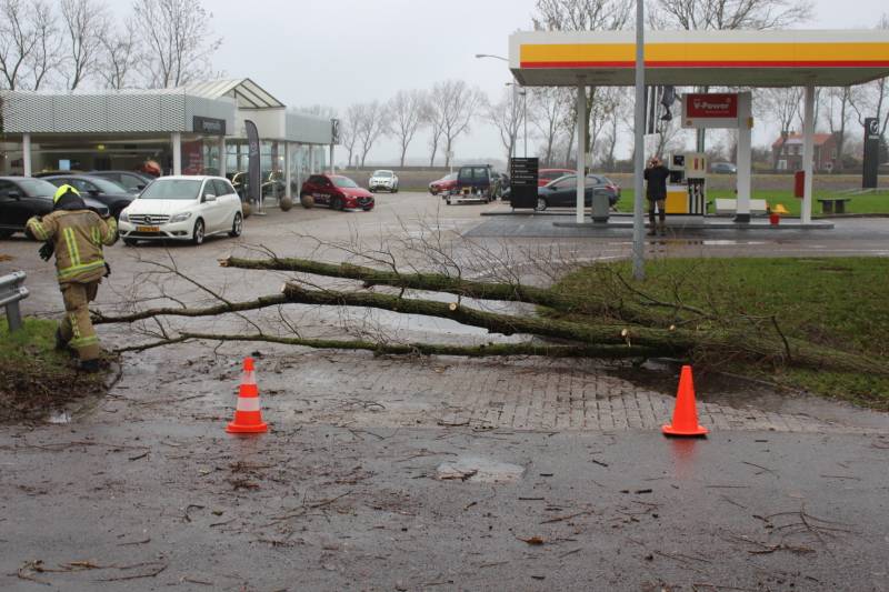 Uitgang Shell-tankstation geblokkeerd door omgewaaide boom