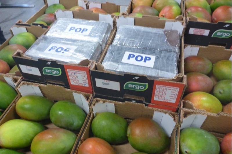 500 kilo cocaïne verstopt in lading mango's