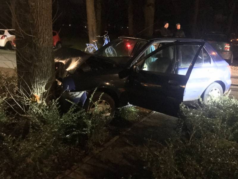 Flinke schade na botsing tegen boom