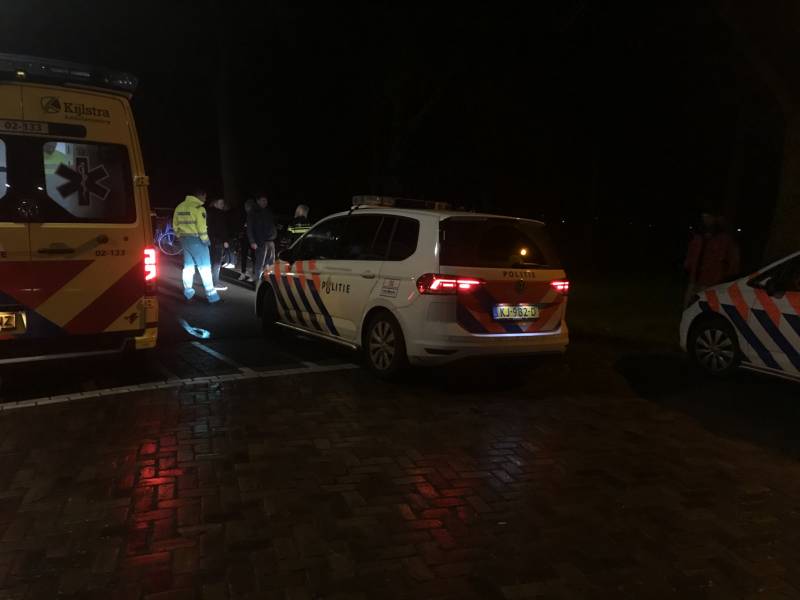 Flinke schade na botsing tegen boom