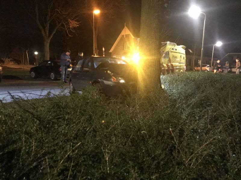 Flinke schade na botsing tegen boom