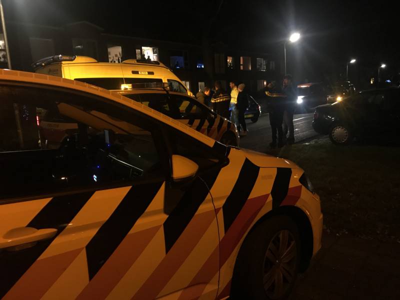 Flinke schade na botsing tegen boom