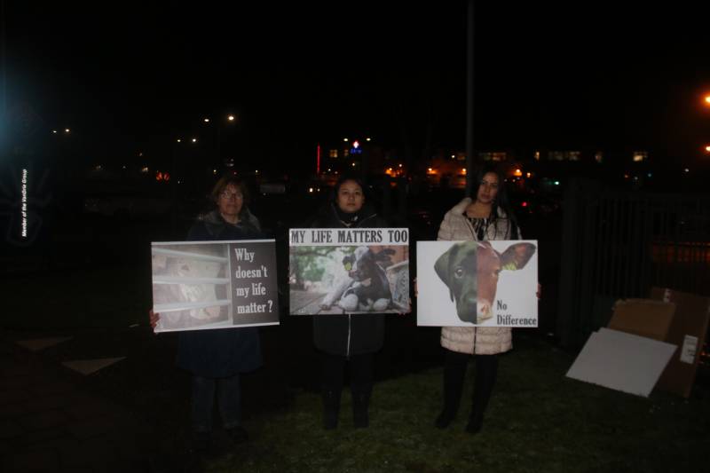 Kleine demonstratie bij Kalfsvleesverwerker Ekro