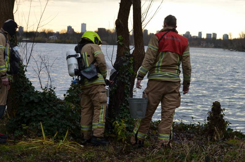 Wilgenboom vliegt in brand Prinses Beatrixplantsoen