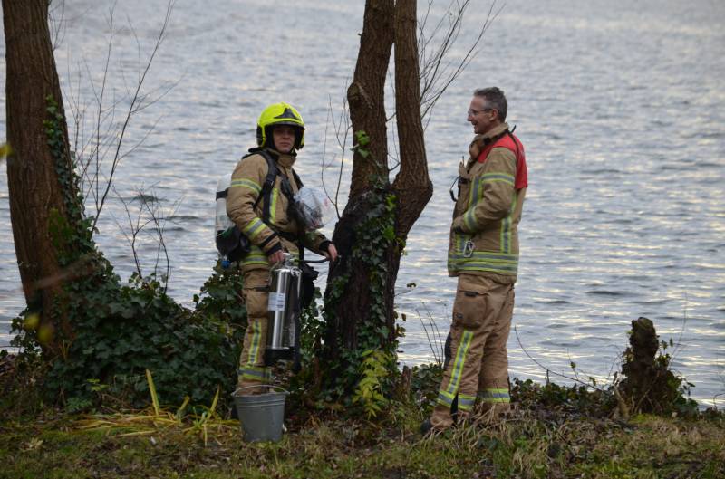 Wilgenboom vliegt in brand Prinses Beatrixplantsoen