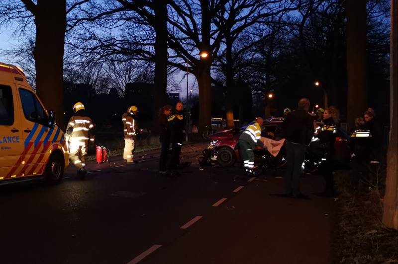 Automobilist gewond na aanrijding tegen boom
